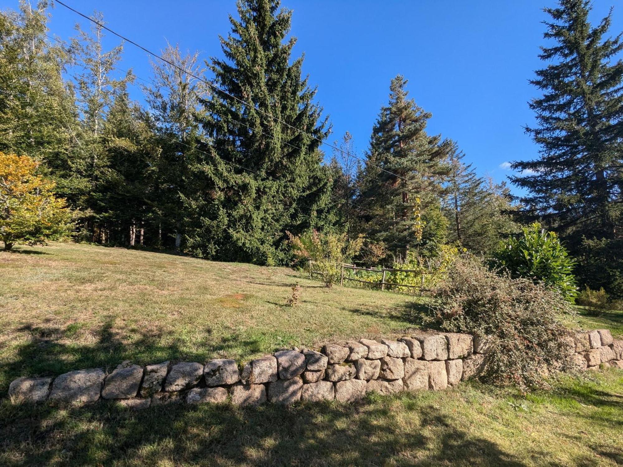 לה שמבון-סור-ליניון Gite Nature Au Chambon-Sur-Lignon: Terrasse, Wifi, Proche Activites Et Commerces - Fr-1-582-137 מראה חיצוני תמונה